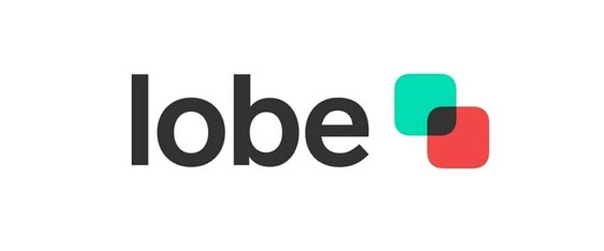 Lobe AI software