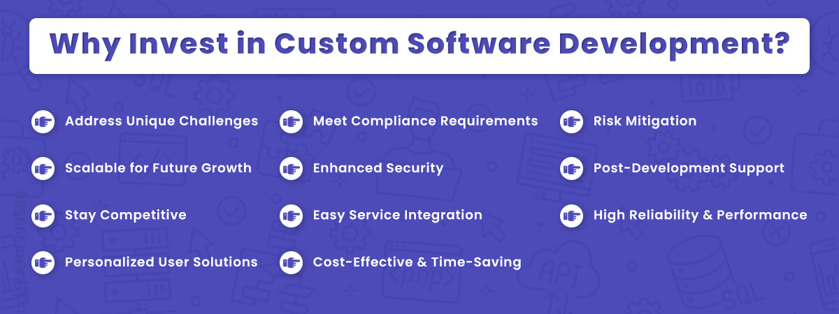 Why Invest in Custom Software Development