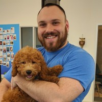 Review by Mark Marcantano