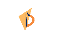 Derive Solution_logo