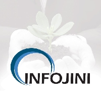 Infojini Consulting_logo