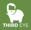 ThirdEye Data_logo