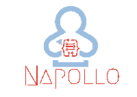 Napollo Software Design L.L.C_logo