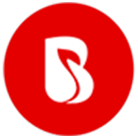 BrainMobi_logo