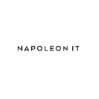 Napoleon IT_logo