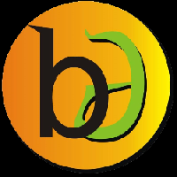  BIKASH DIGITECH_logo