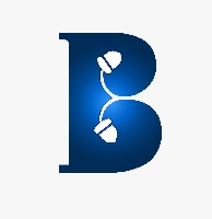 Brandingnuts_logo