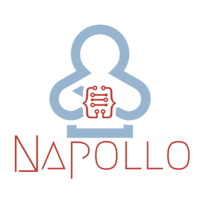 Napollo Software Design LLC_logo