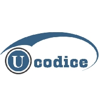 Ucodice IT Company_logo