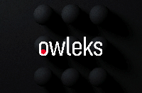 Owleks