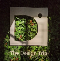 The Design Trip_logo