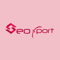 Seoxport_logo