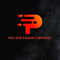 Pro Software Company