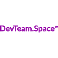 DevTeamSpace_logo