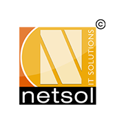 Netsol IT Solutions Pvt Ltd_logo