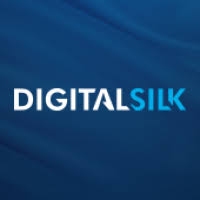 Digital Silk_logo
