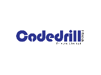 CodeDrill Infotech Pvt. Ltd._logo