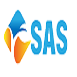 SAS Digital Marketing Company_logo