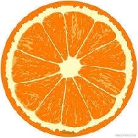 Orange Digital Marketing_logo