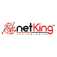 Netking Technologies_logo