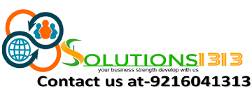 Solutions 1313