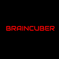 Braincuber Technologies_logo