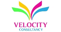 Velocity Consultancy _logo