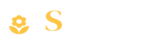 Sachin Digital Marketing Exper_logo