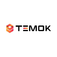 Temok IT Services_logo