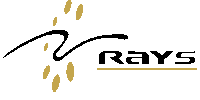 Rays TechServ Inc_logo