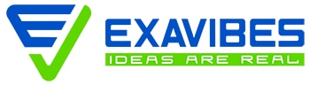 Exavibes Services Pvt Ltd_logo