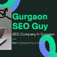 Gurgaon SEO Guy - SEO Expert_logo