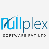 Nullplex Software Pvt. Ltd._logo