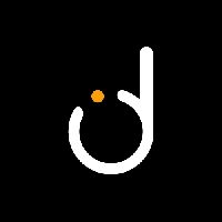 Direlli LLC_logo