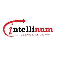 Intellinum Inc_logo