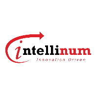 Intellinum Inc