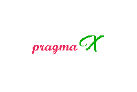 Pragmax - SEO Company in USA_logo