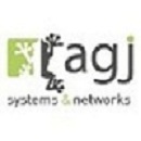 AGJ Systems & Networks_logo