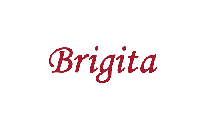 Brigita Private Limited_logo