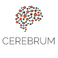 Cerebrum