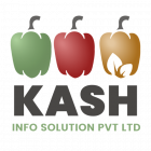 kash info solutions pvt Ltd.