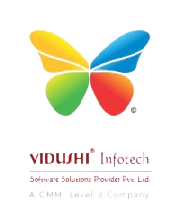 Vidushi infotech SSP Pvt Ltd_logo
