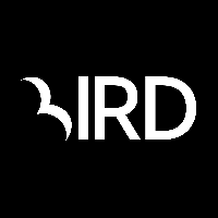 Bird Marketing_logo