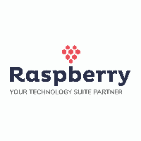 Raspberry IT Services_logo