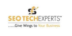 SEO TECH EXPERTS LLC_logo