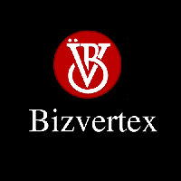 Bizvertex_logo