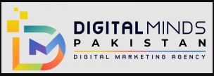 Digital Minds Pakistan_logo