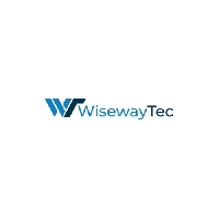 Wiseway Tec_logo