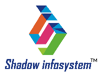 Shadow Infosystem