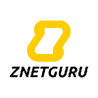 znetguru consultoria seo_logo